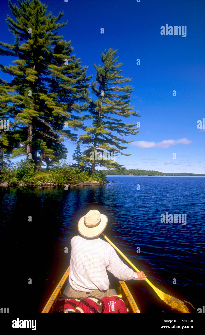 Canoë, Big Trout Lake, Algonquin Park, Ontario Banque D'Images