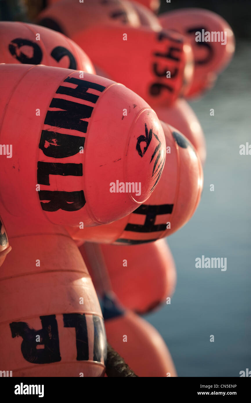 Sac couleur flotte sur la pêche au hareng rogué adjudication de Sitka, Alaska, USA Banque D'Images