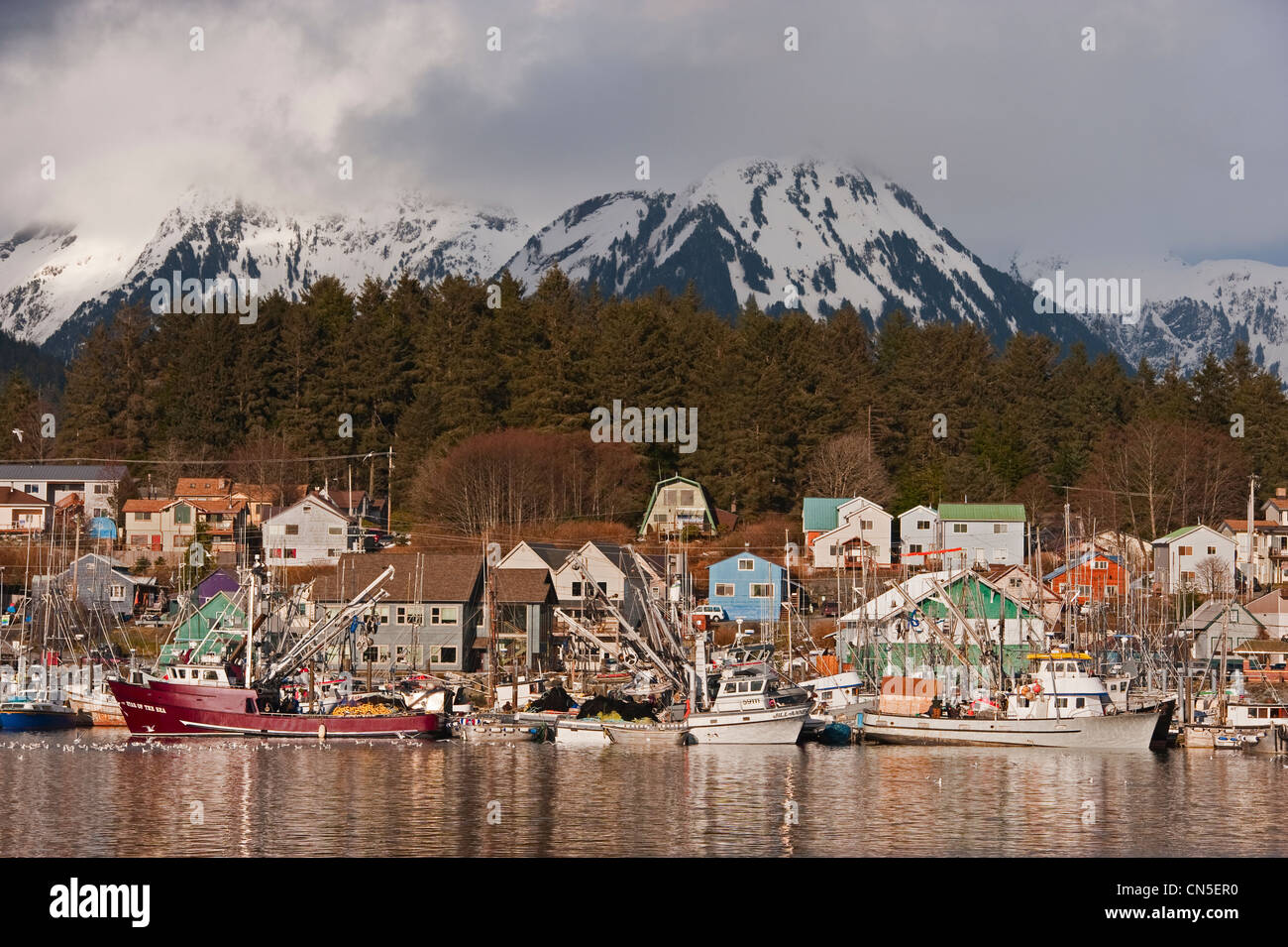 Le hareng du Pacifique (Clupea pallasii) flotte de pêche re sac se rendre à Sitka, Alaska's ports. Banque D'Images
