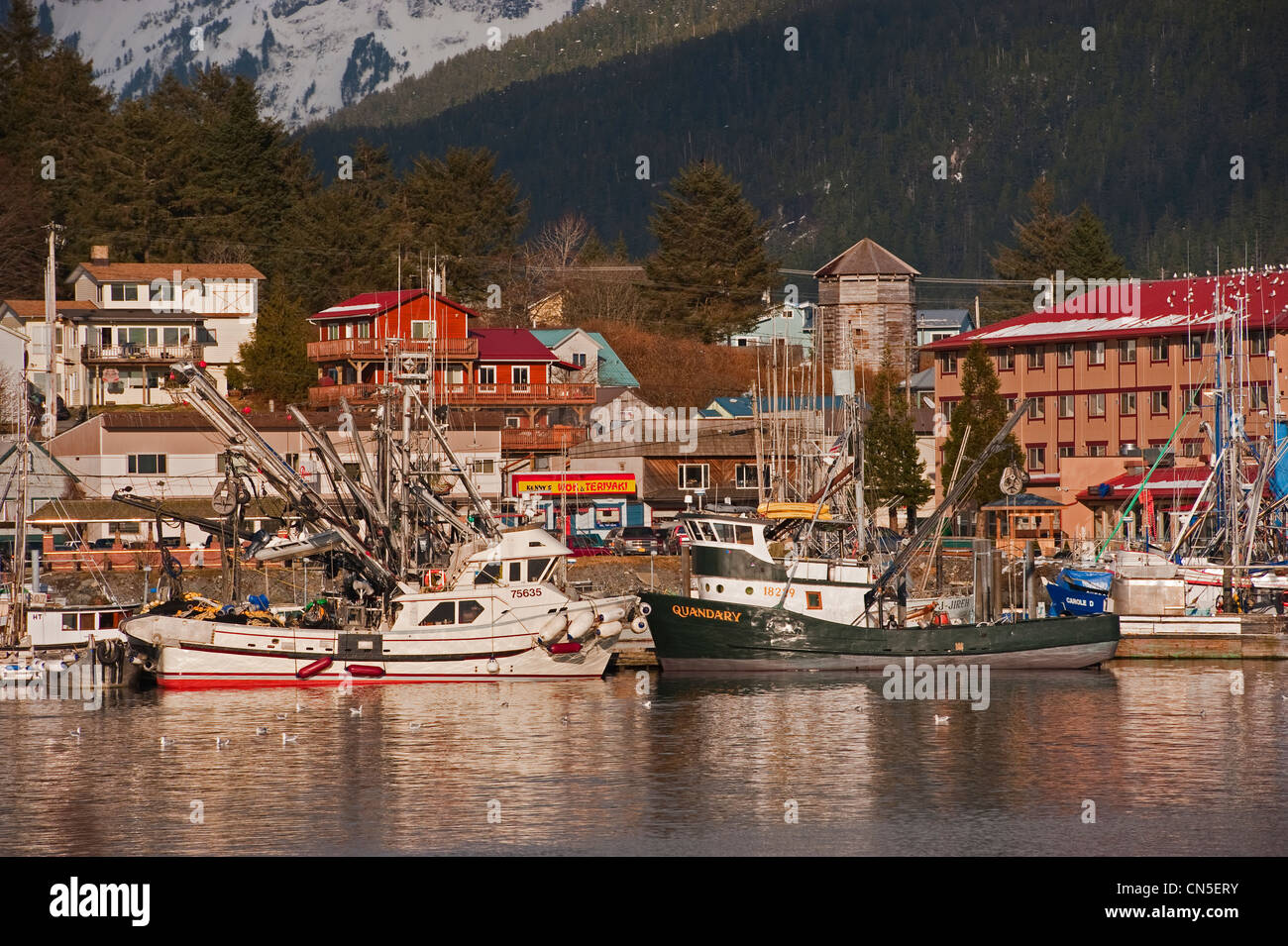Le hareng du Pacifique (Clupea pallasii) flotte de pêche re sac se rendre à Sitka, Alaska's ports. Banque D'Images