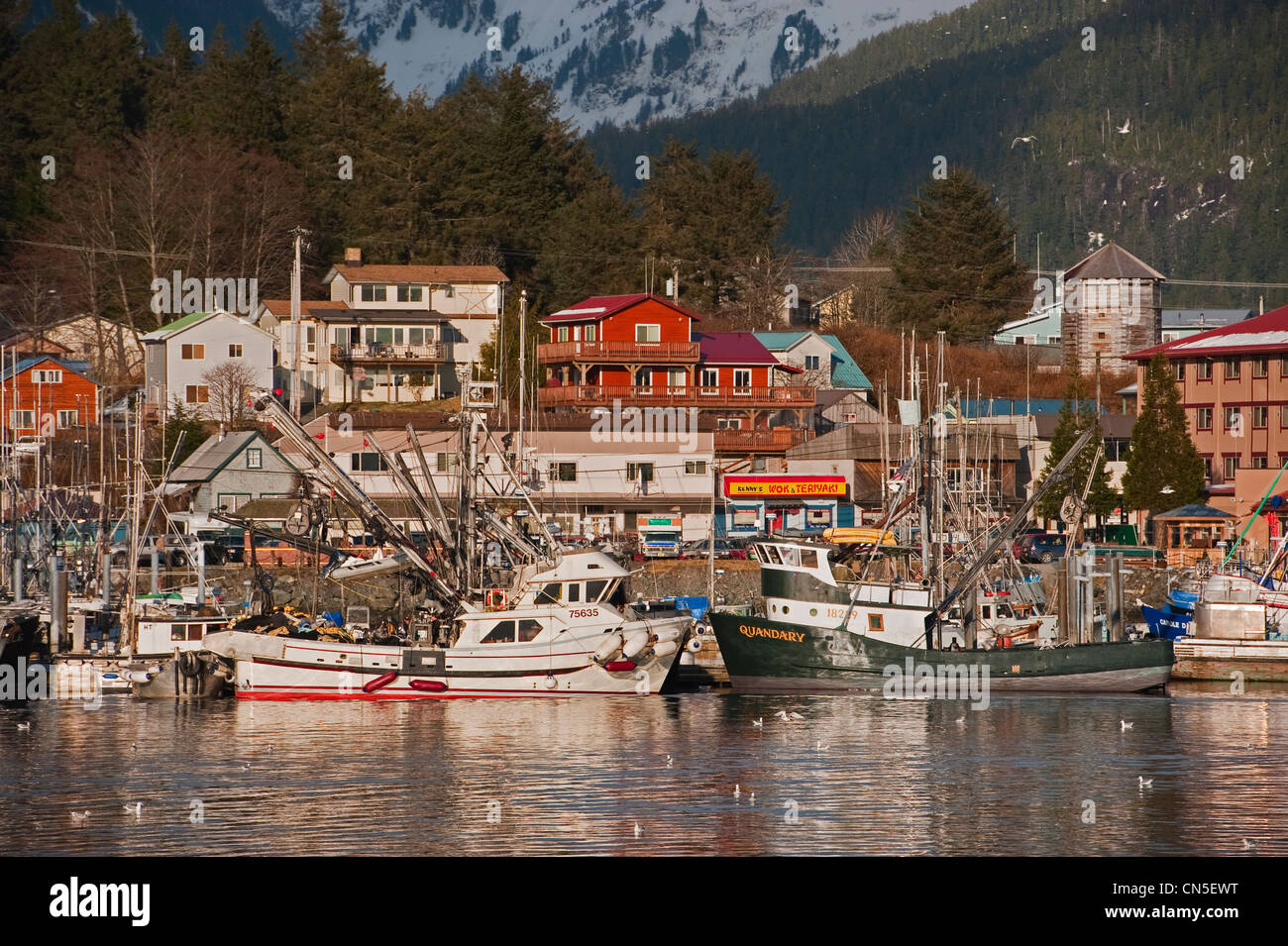 Le hareng du Pacifique (Clupea pallasii) flotte de pêche re sac se rendre à Sitka, Alaska's ports. Banque D'Images