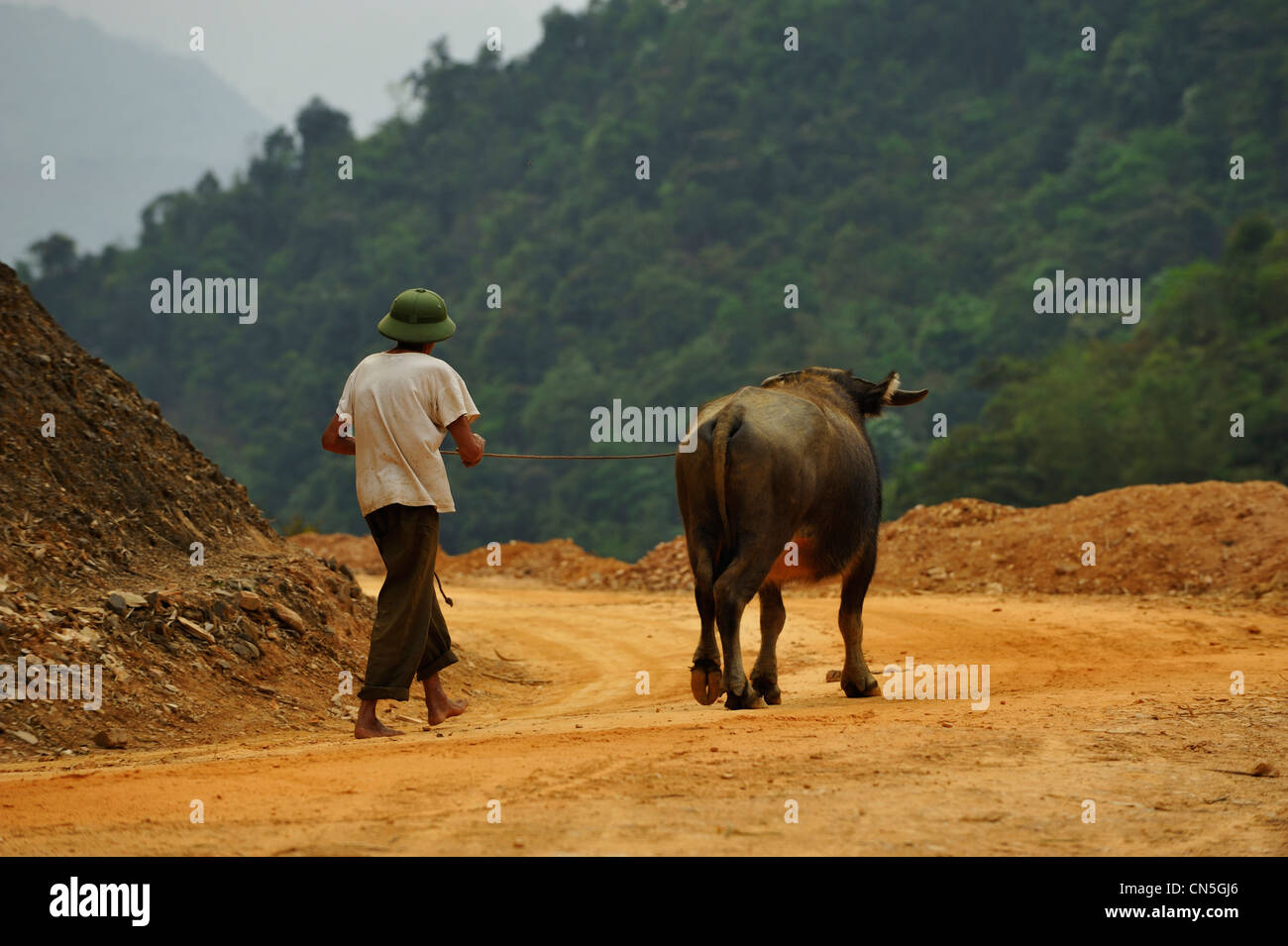 Vietnam, province de Ninh Binh, le Parc National de Cuc Phuong, Ban Hieu, l'homme avec son buffalo Banque D'Images