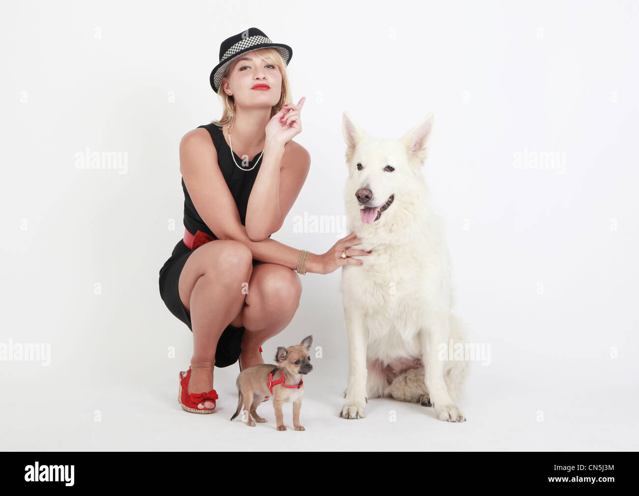 Femme, chien de berger blanc et Chihuahua Banque D'Images