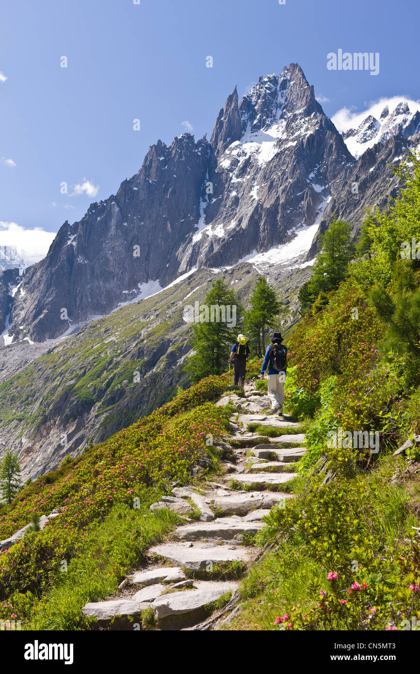 France, Haute Savoie, Chamonix Mont Blanc, randonnée sur le train du Montenvers par Les Rendez vous du train du Montenvers sentier de randonnée à thème avec vue Banque D'Images