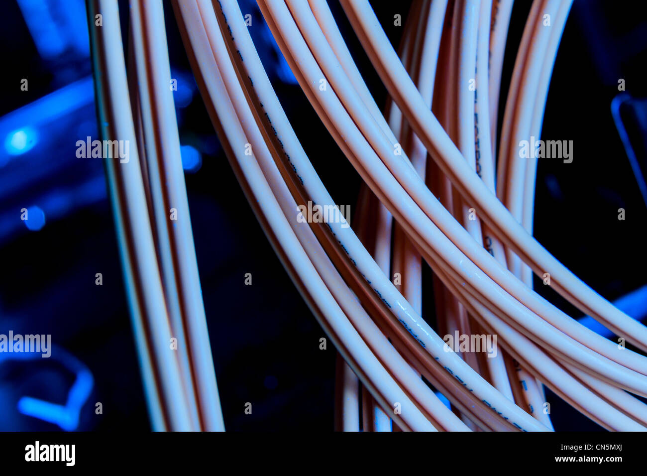 Close up de câbles réseau Banque D'Images
