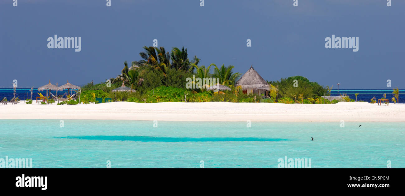 Les Maldives, South Male Atoll, l'île de Dhigu, l'Anantara Resort and Spa Hotel, le désherbage islet Banque D'Images