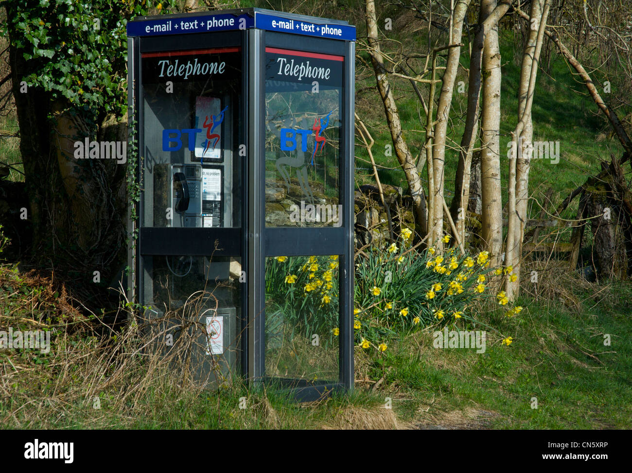 Téléphone BT fort et des jonquilles dans la vallée de Winster, Parc National de Lake District, Cumbria, Angleterre, Royaume-Uni Banque D'Images