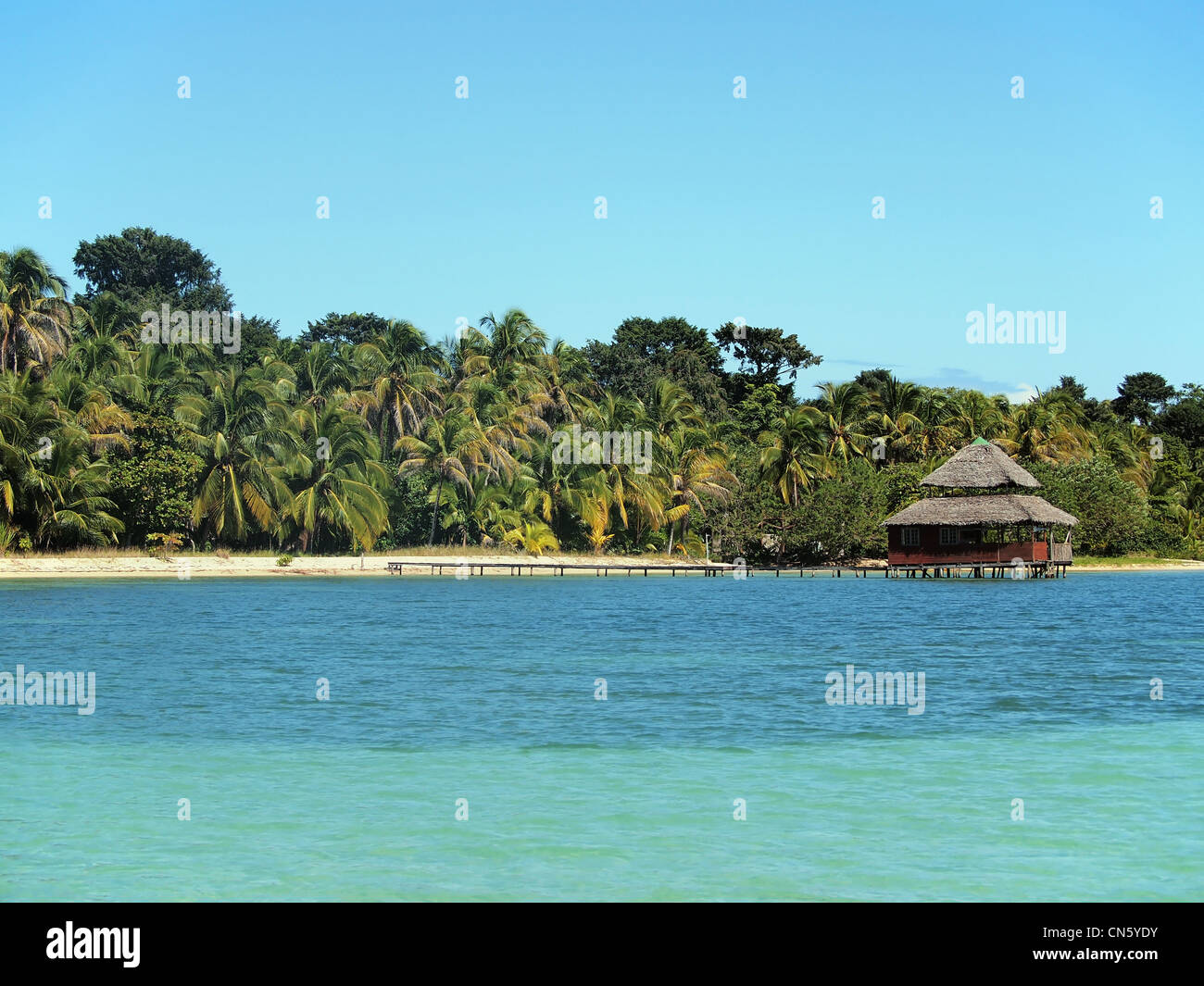 Plage tropicale avec des cocotiers et un restaurant au toit de chaume au-dessus de l'eau, de l'Amérique centrale, Bocas del Toro, PANAMA Banque D'Images