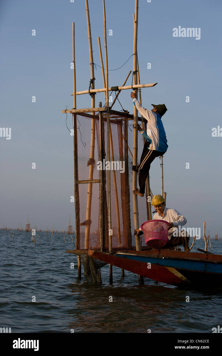 Les pêcheurs à l'aube de recueillir leurs prises de cages a donc chuté sur le lit du lac Songkhla. Banque D'Images