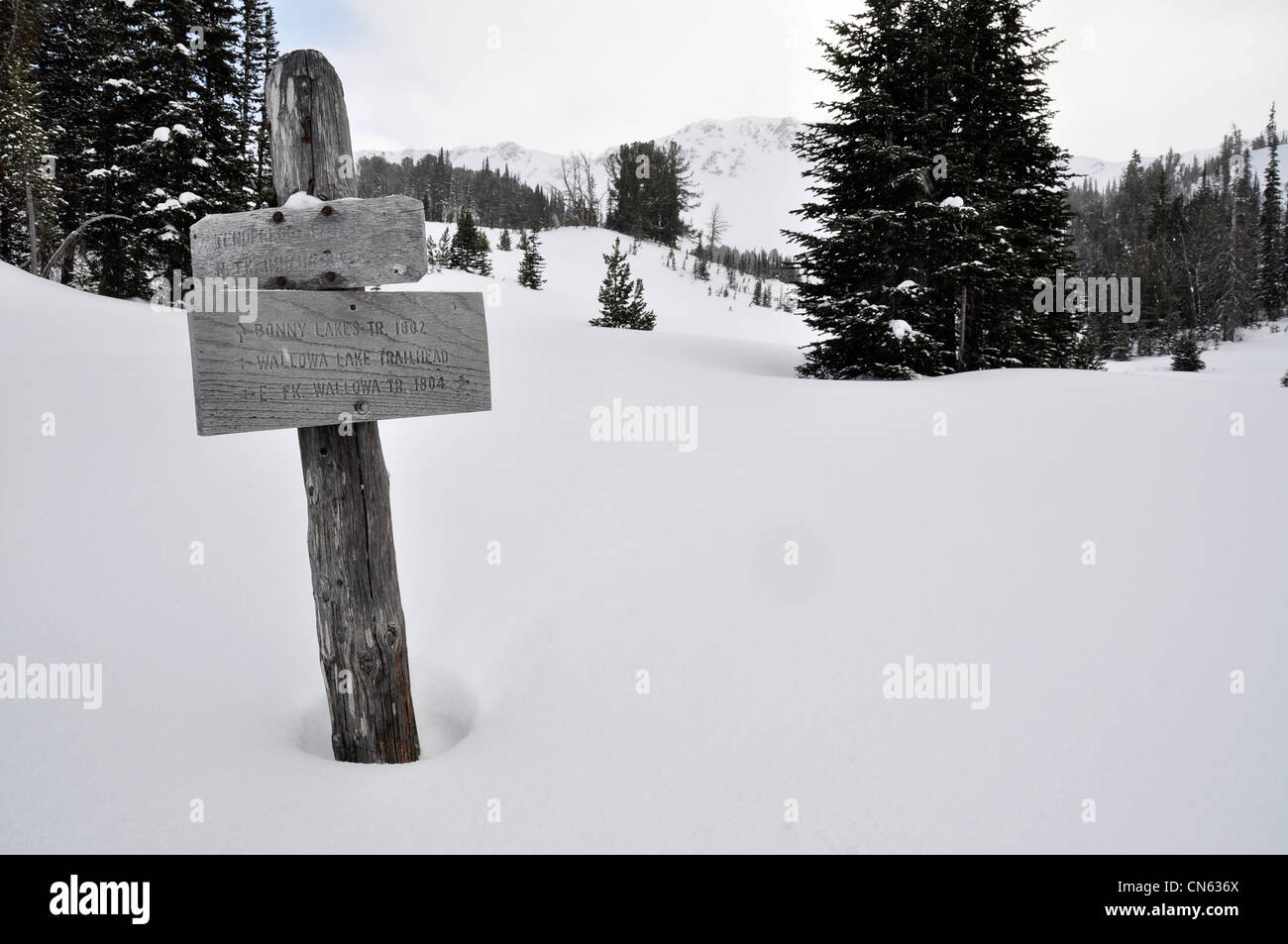 Signe, sentier bassin anéroïde, montagnes Wallowa, Oregon. Banque D'Images