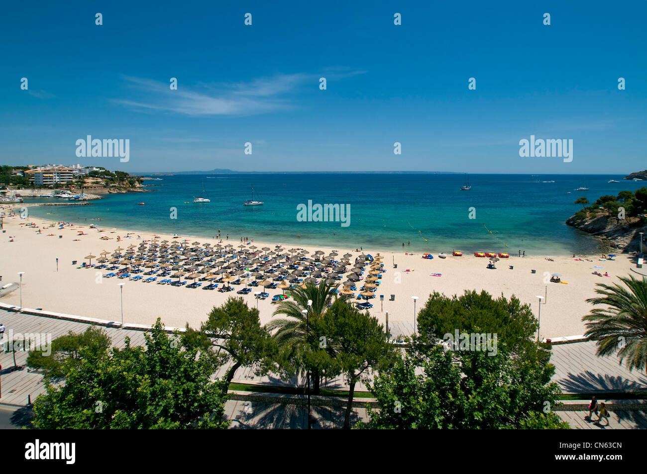 La plage de Palma Nova Majorque Baléares Espagne Banque D'Images