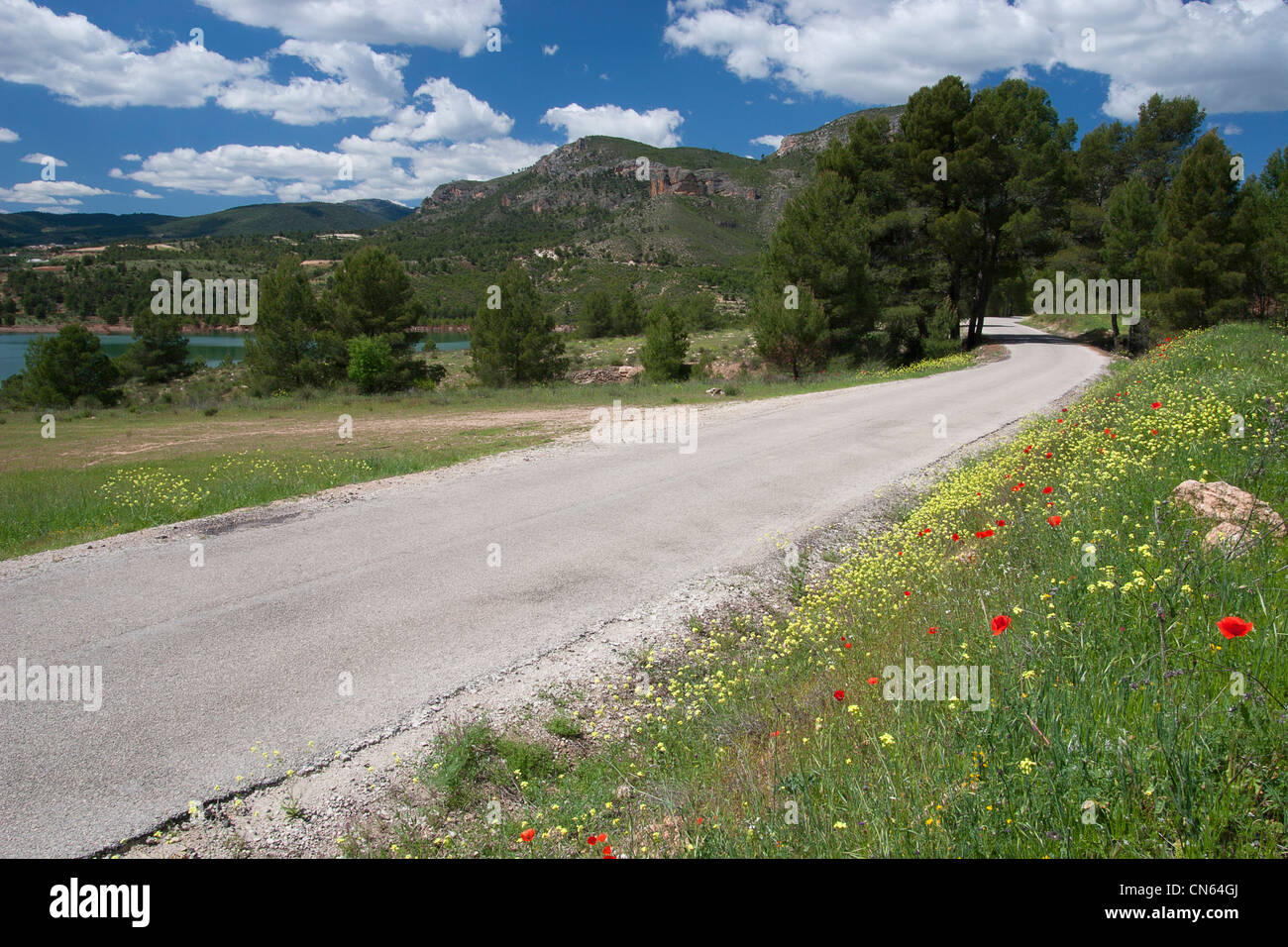 Route à travers la Sierra de Seguras de Yeste à Molinicos, Albacete, Castille la Manche, Espagne Banque D'Images