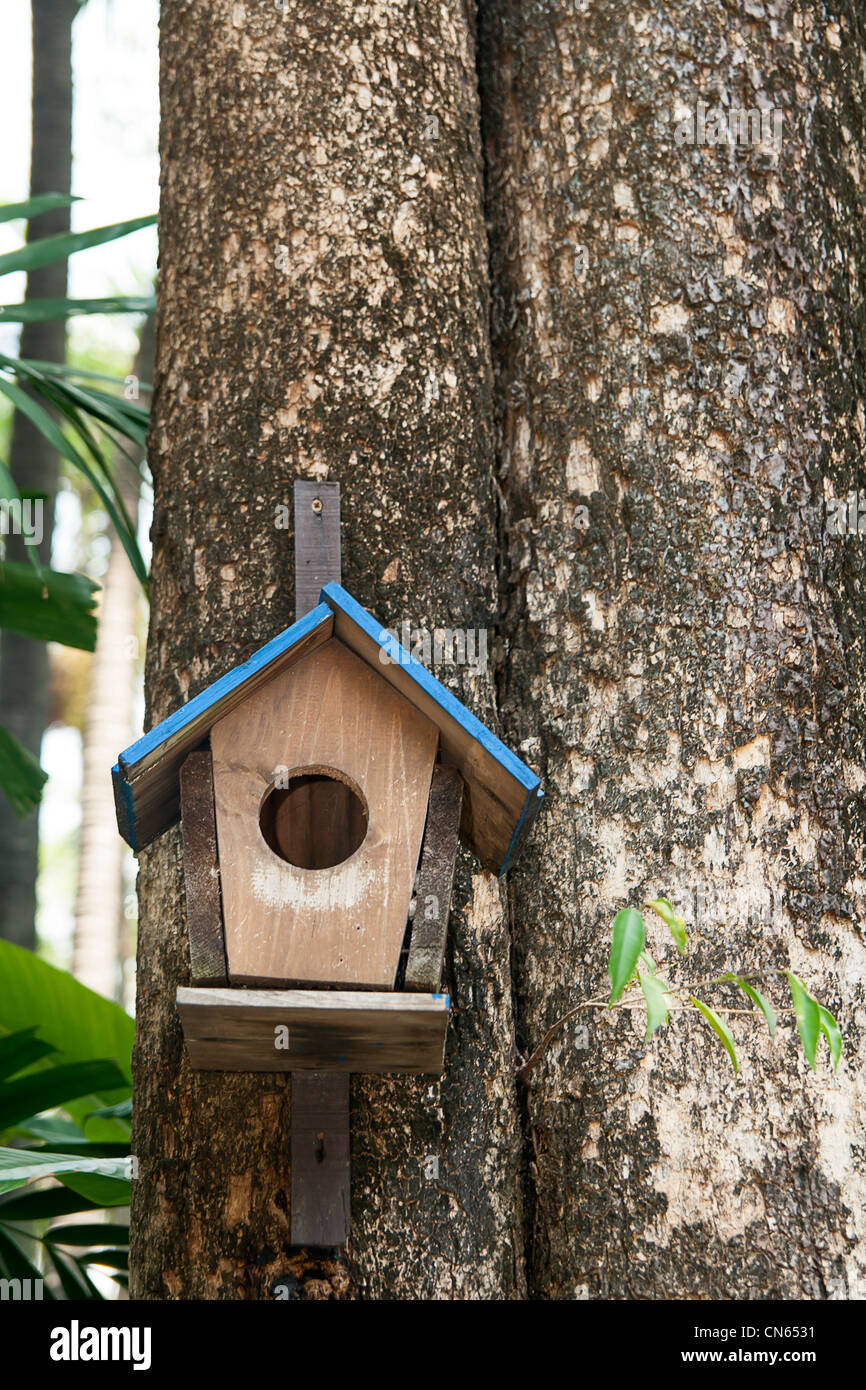 Maison d'oiseau sur grand arbre corail couleur bleu Banque D'Images