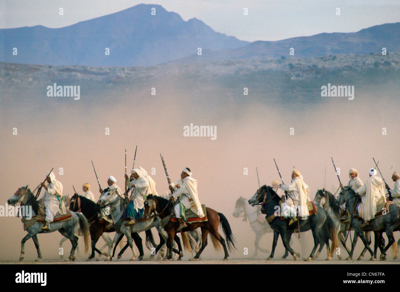 Cavaliers marocains équitation dans un centre équestre à Fantasia désert près de Marrakech, Maroc. Banque D'Images