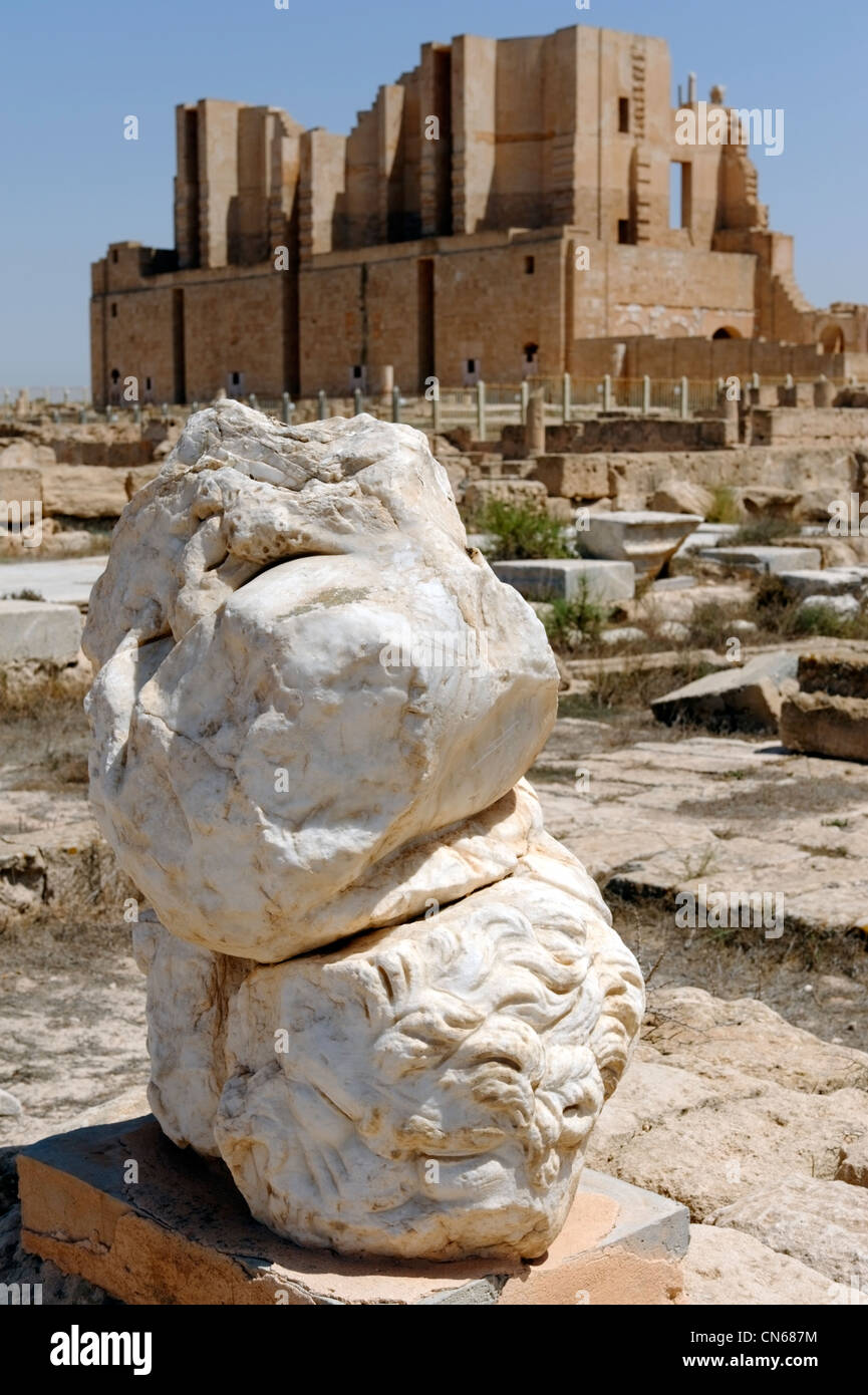 peau-de-lions-banque-de-photographies-et-d-images-haute-r-solution