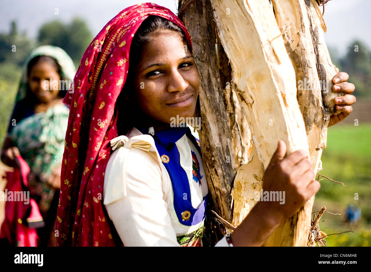 Garasia fille tribal transportant du bois . Banque D'Images