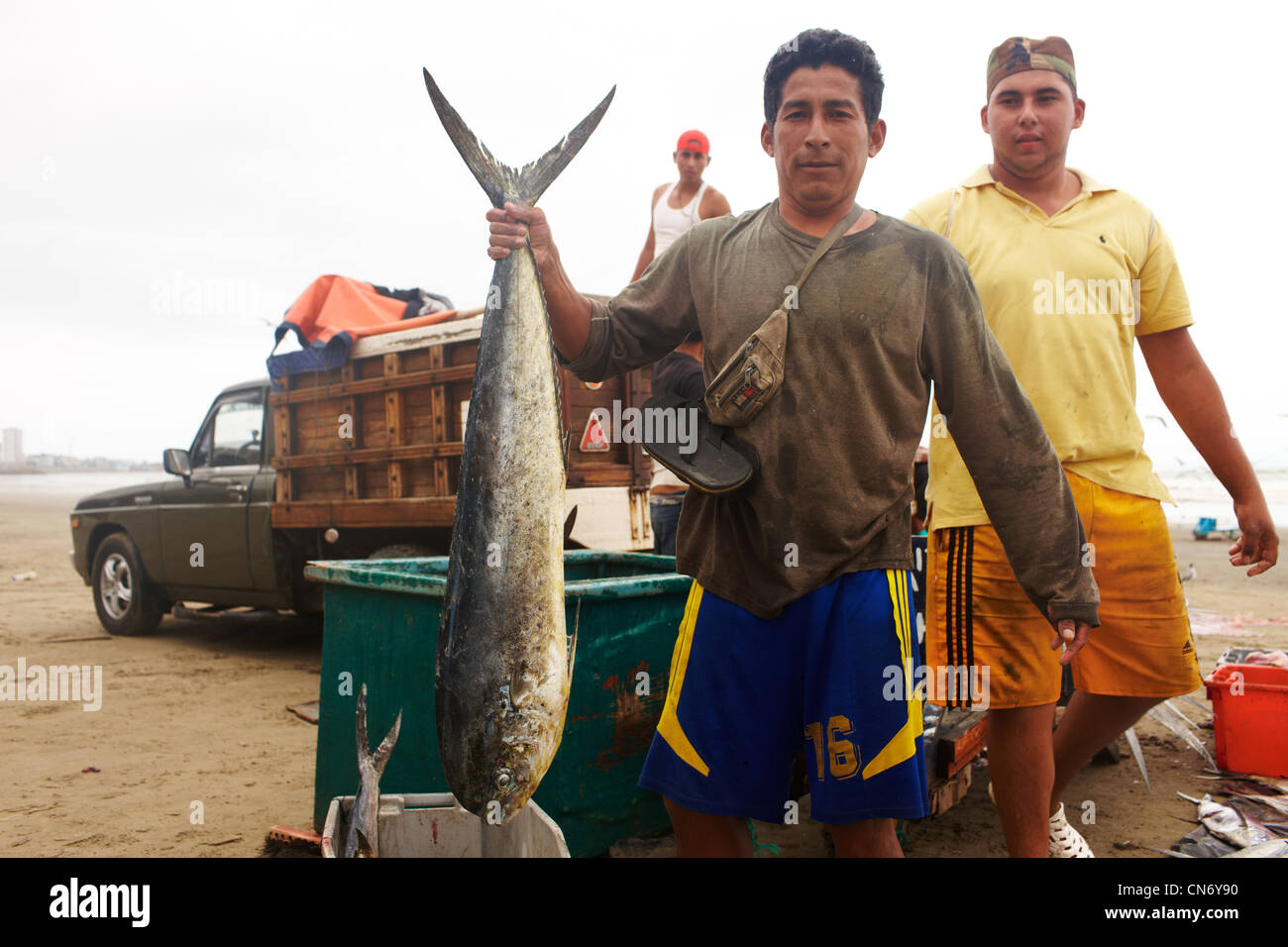 Trois pêcheurs propagation des poissons fraîchement pêchés sur le comptoir du marché aux poissons. Beaucoup de thon. Banque D'Images