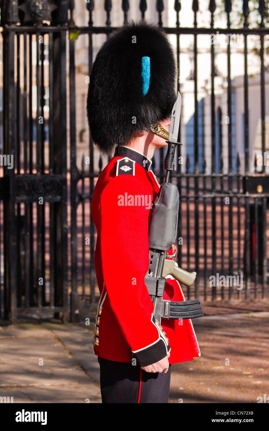 Guardsman irlandais à Clarence House Banque D'Images