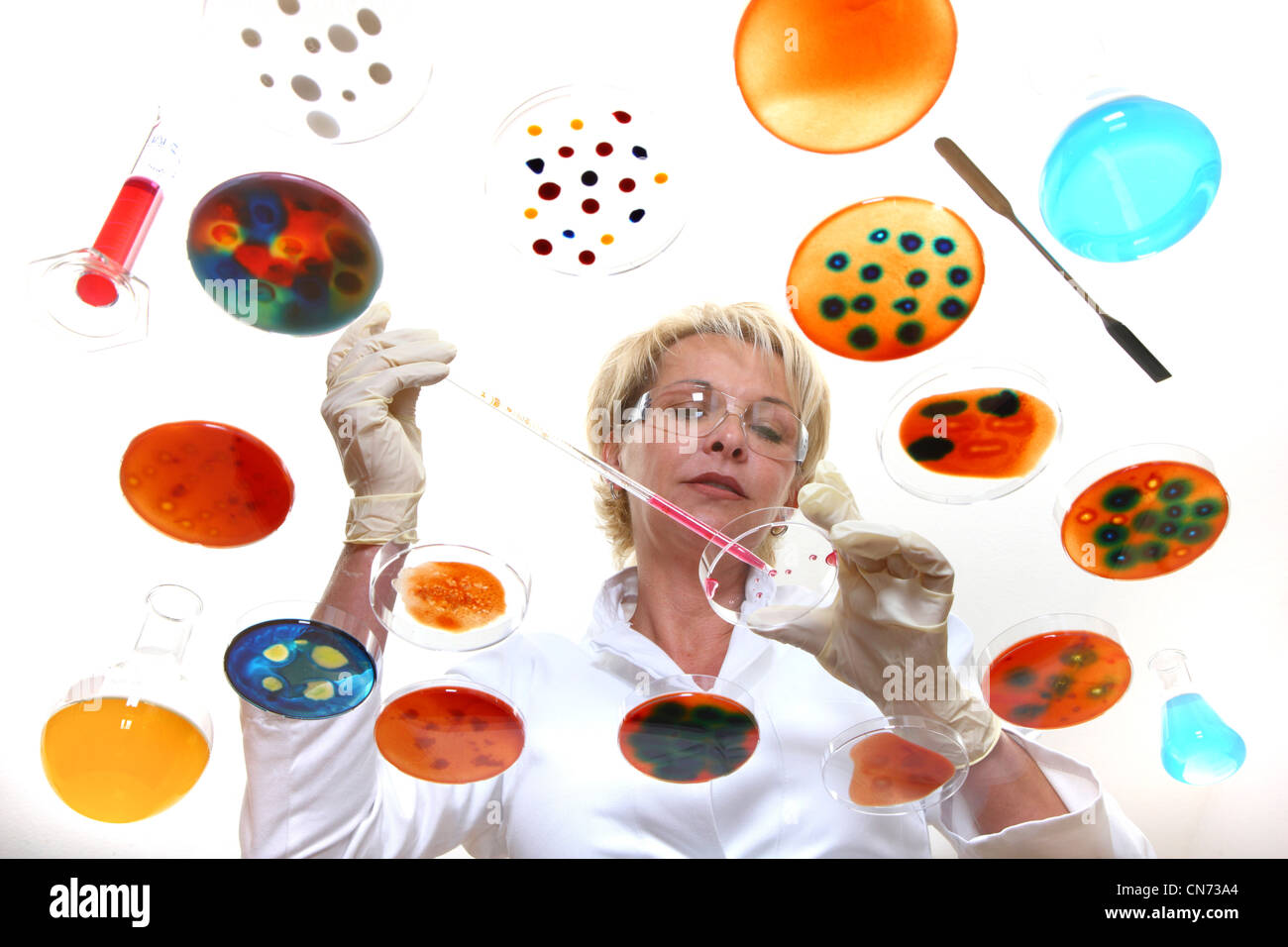 Technicien de laboratoire dans le laboratoire avec des cultures de bactéries dans des boîtes de Pétri. Vu à travers une table en verre. Banque D'Images