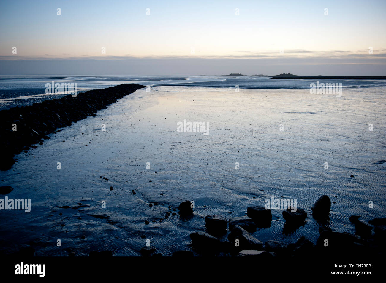 Marée basse sur le site du patrimoine mondial de l'allemand au large de la mer des wadden Hallig Langeness tôt le matin Banque D'Images