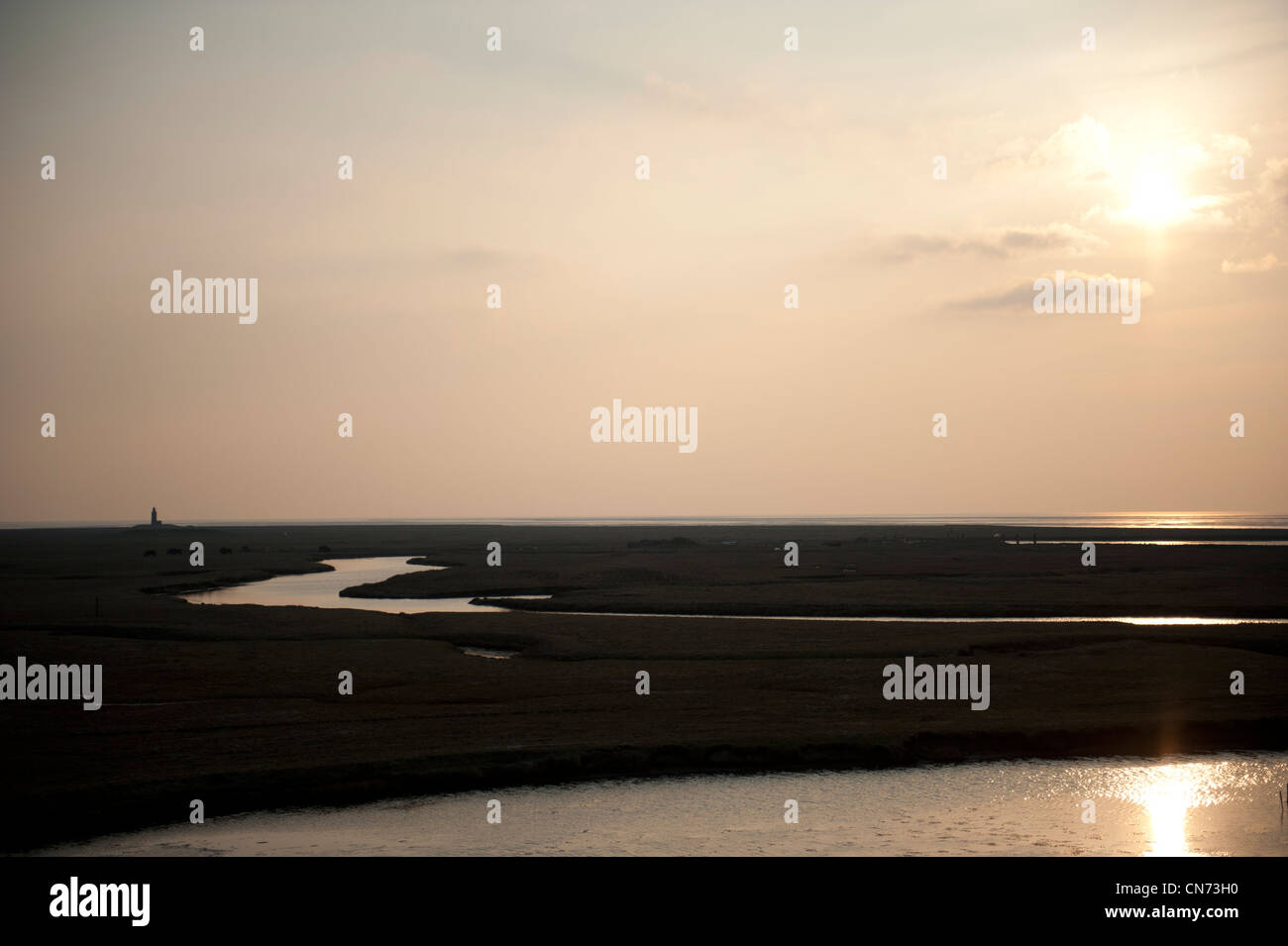Soleil sur l'île de la mer du Nord Hallig Langeness dans l'UNESCO world heritage area Frise du Nord de la mer des wadden. Banque D'Images