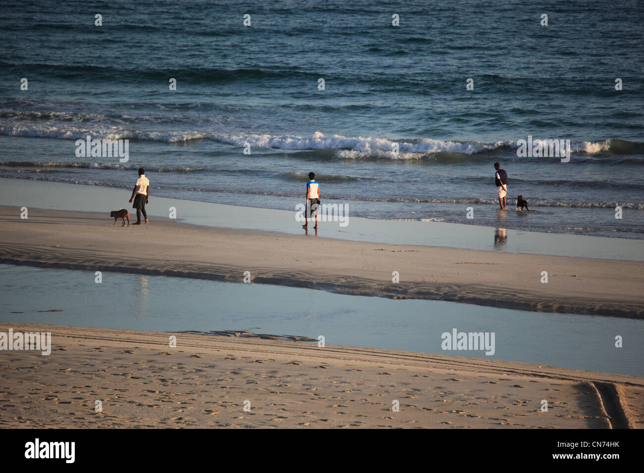 Am Strand arabischen Meer, südlicher Oman, bei Salalah Banque D'Images