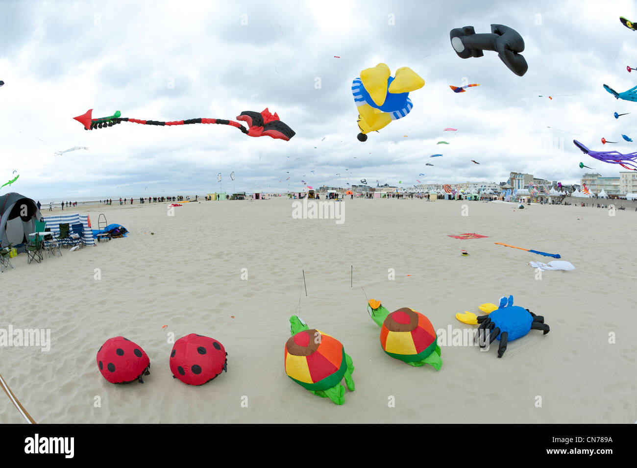 Berck sur Mer, Festival International de Cerf-volant, cerfs volants ...
