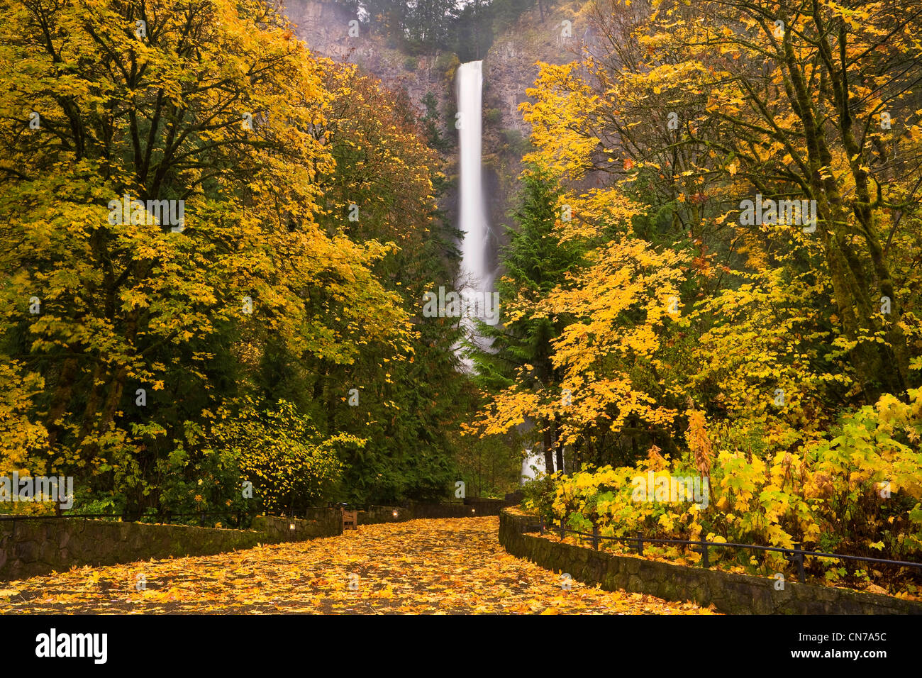 Multnomah Falls à l'automne. Columbia River Gorge, Oregon. USA Banque D'Images