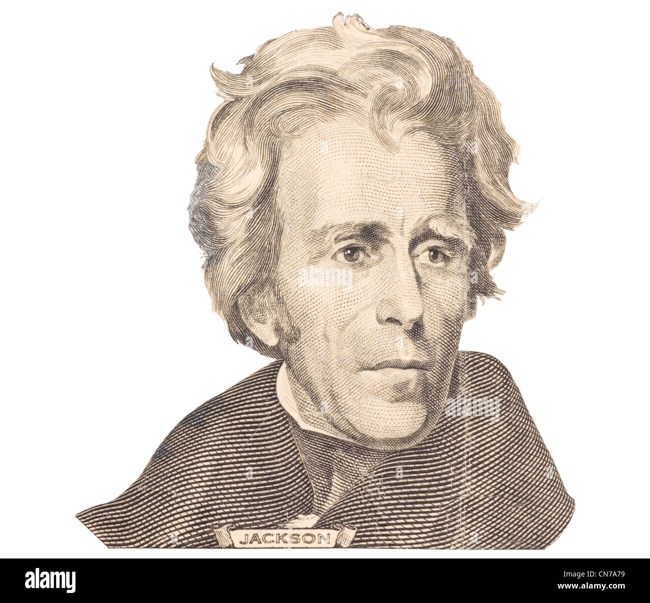 Portrait d'Andrew Jackson isolé sur fond blanc. Banque D'Images