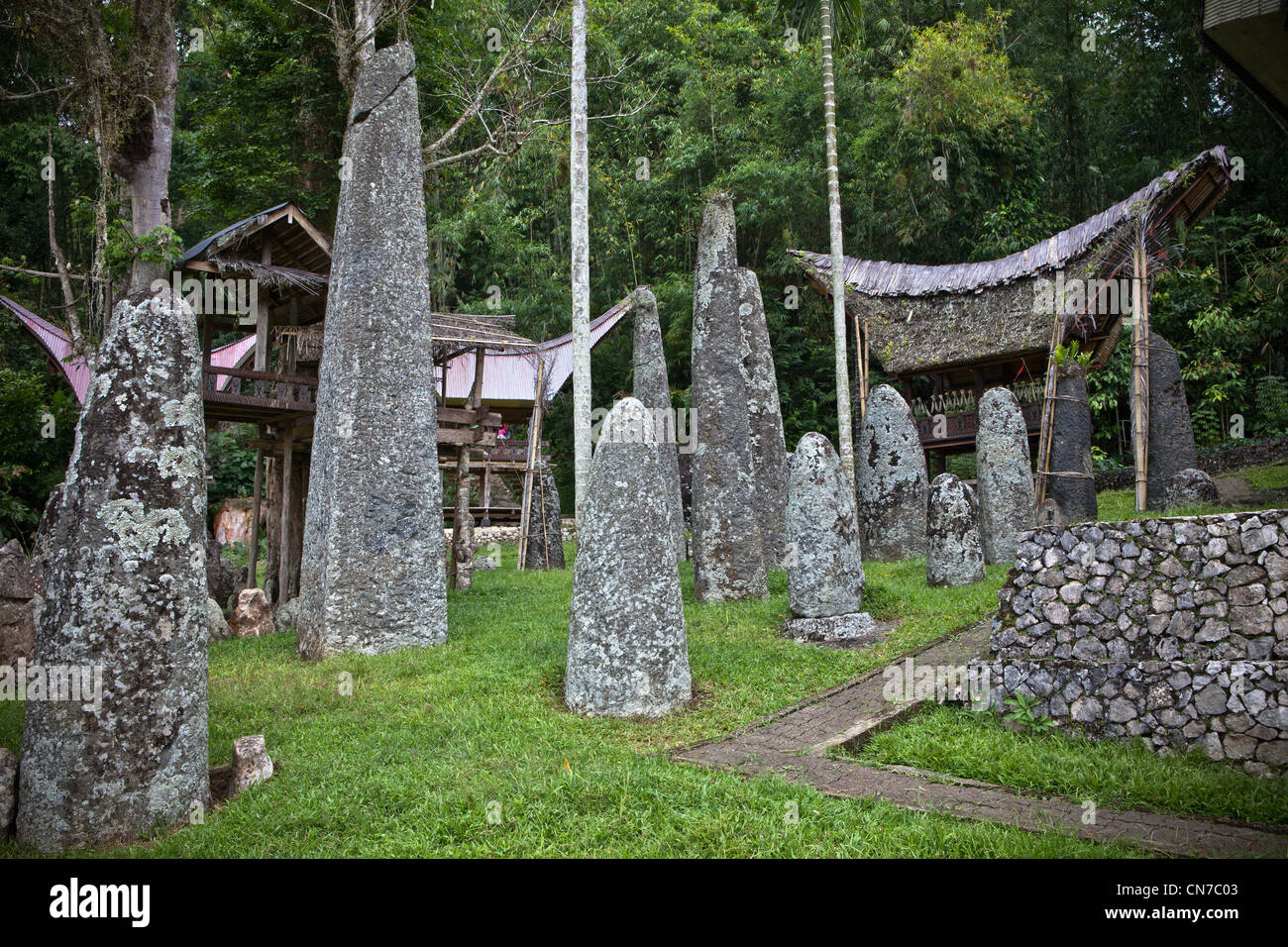 L'Indonésie, Sulawesi, Tana Toraja, village Bori, pierre mégalithe de la tombe. Banque D'Images
