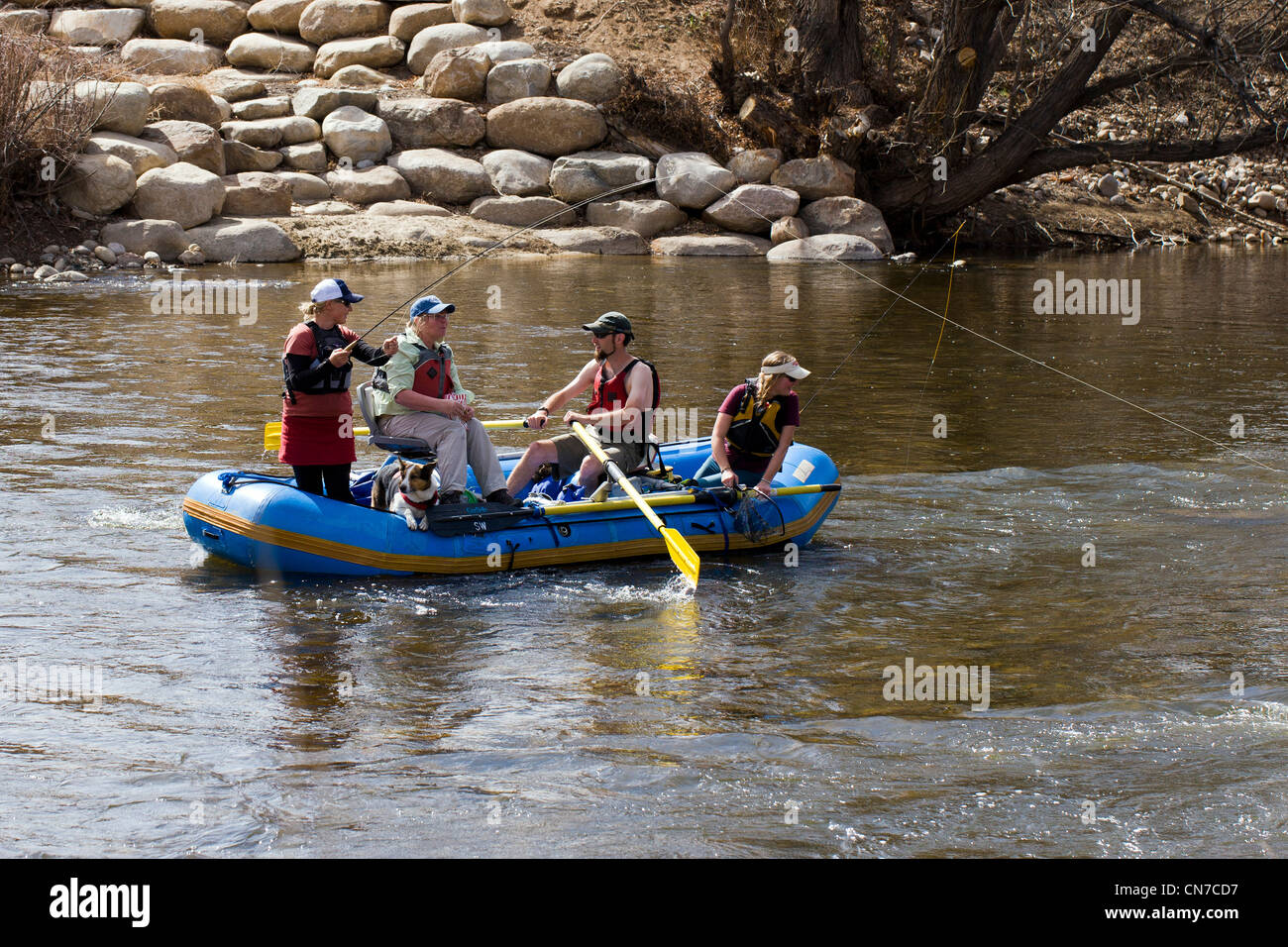 Femme pêcheur de mouche hameçons une truite à partir d'un radeau gonflable, visite guidée. L'Arkansas River, Salida, Colorado, USA Banque D'Images