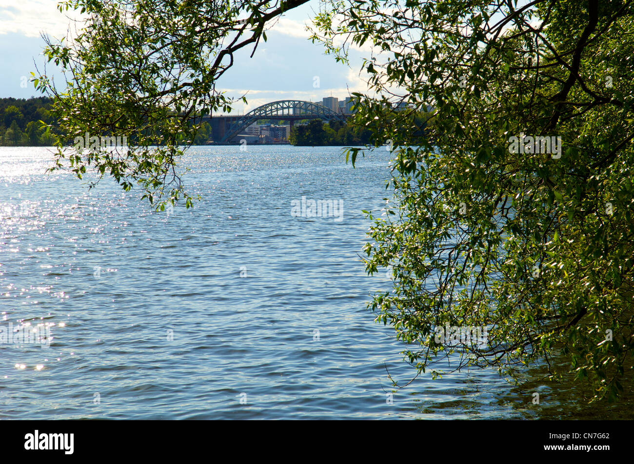 Les arbres qui pèsent sur le lac Mälaren à Stockholm, Suède avec un pont de chemin de fer dans l'arrière-plan. Banque D'Images