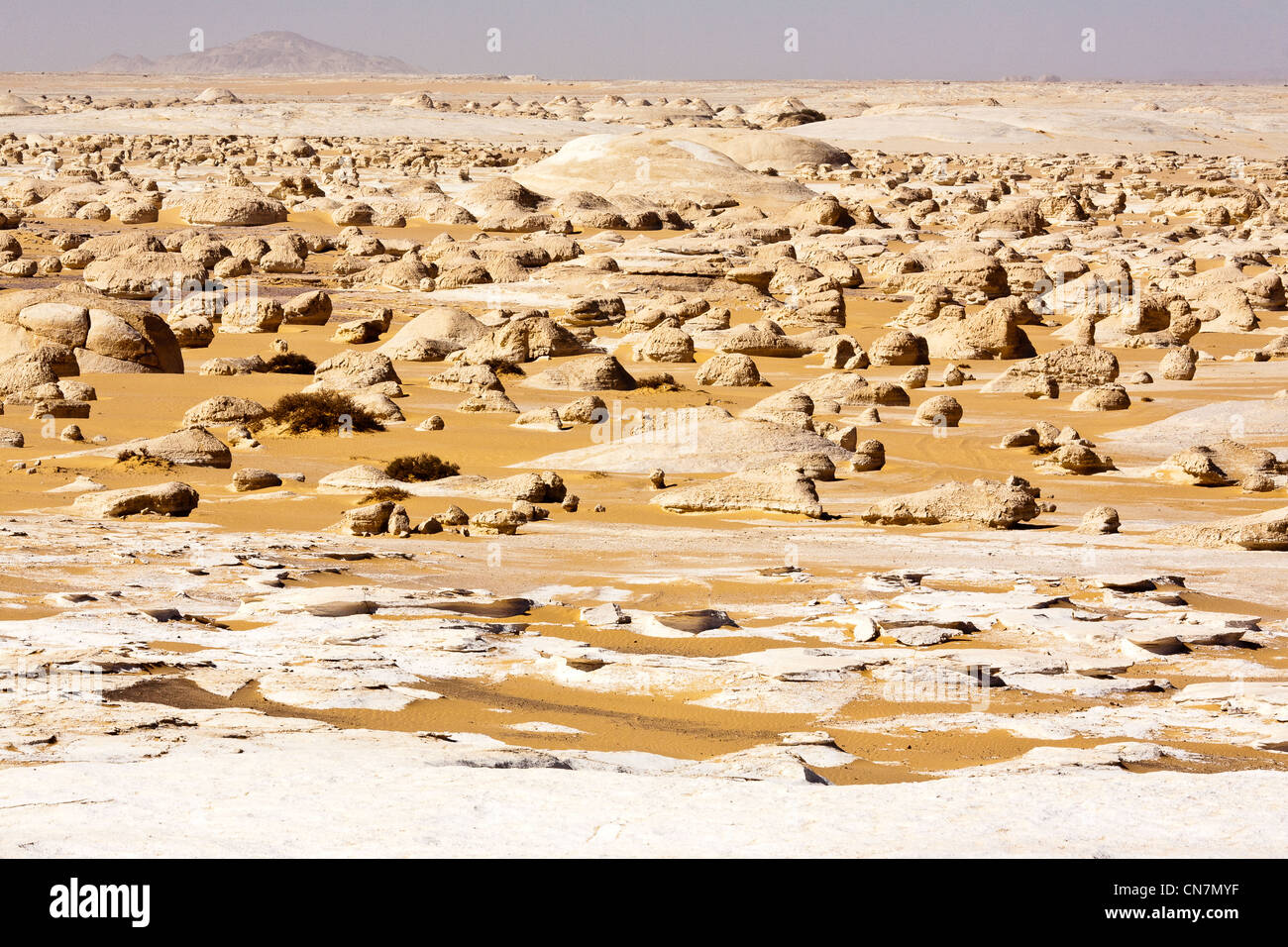 Egypte, Basse Egypte, désert de Libye, désert blanc, oasis de Bahareyya Banque D'Images