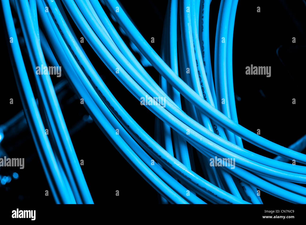 Close up de câbles réseau Banque D'Images