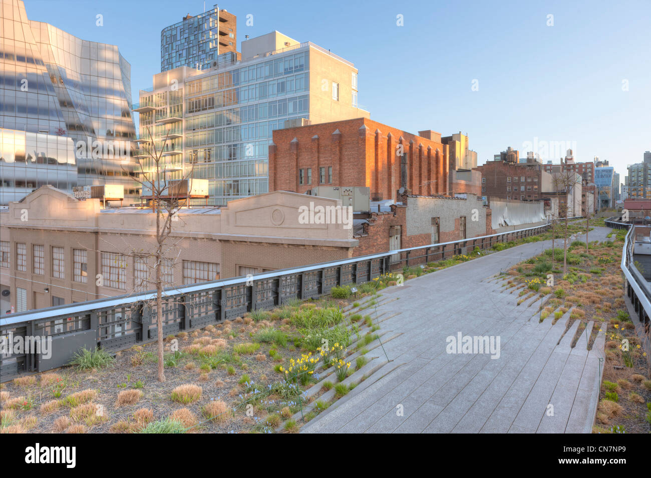 Une vue sur l'aménagement paysager dans le parc High Line et les environs de la ville de New York. Banque D'Images