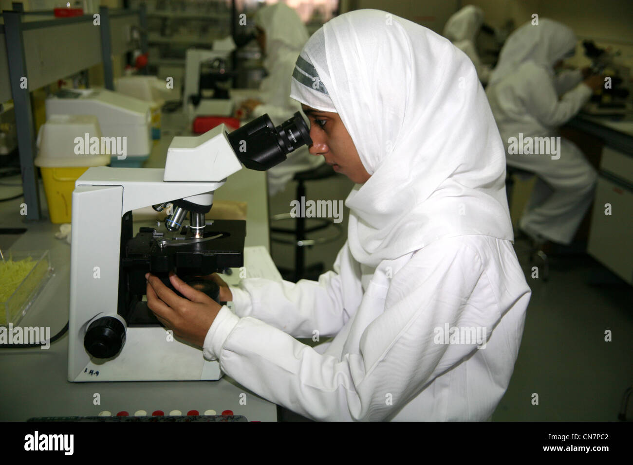 Leçon d'hématologie avec des étudiantes, Université Sultan Qaboos, Oman Banque D'Images