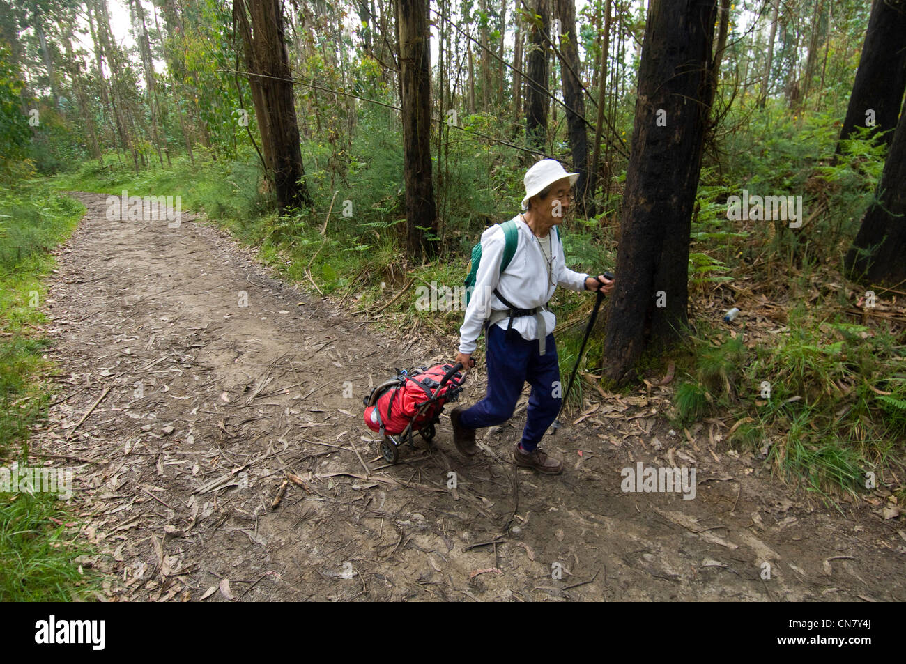 L'Espagne, la Galice, Vidago, Mamodu Oni, pèlerin japonais de 73 ans, avec son caddy pour transporter ses effets personnels et de ses genoux Banque D'Images
