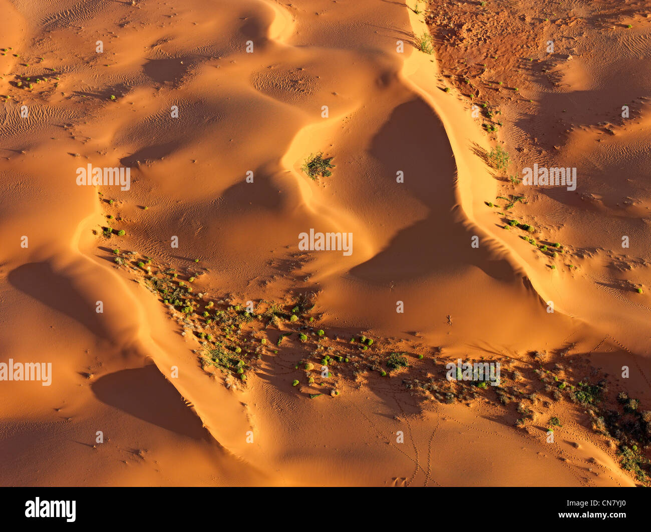 Photo aérienne de basse altitude des dunes de sable rouge de l'outback, NSW, Australie Banque D'Images