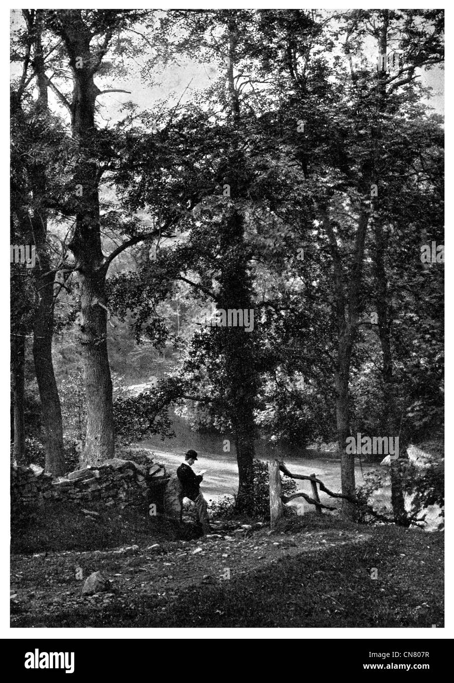 1900 Woodland Goyt Rivière Marple Dell Banque D'Images