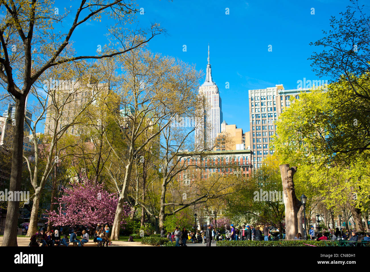 USA New York Ville Manhattan NY NYC Madison Square Park Parcs vue sur Empire State Building printemps ensoleillé en plein air Banque D'Images