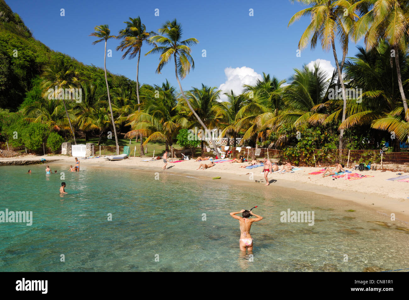 La France, Guadeloupe, Les Saintes, Terre de haut, l'établissement Sugarloaf Cove, les nageurs dans l'eau cristalline de la Banque D'Images