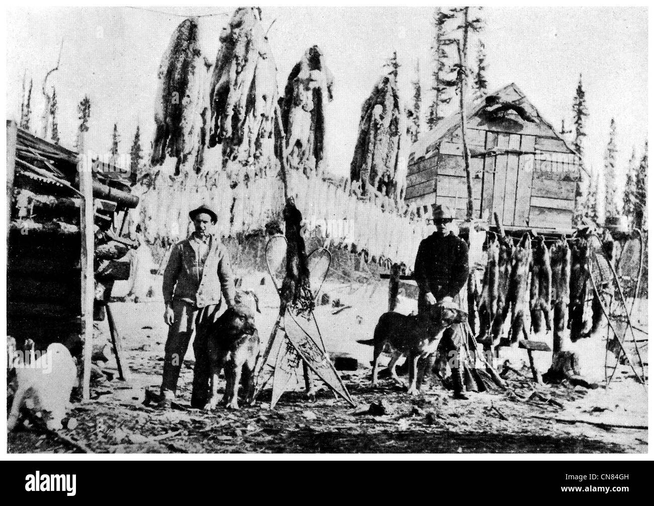 D'abord publié 1917 Alaska Camp Trappeur Banque D'Images