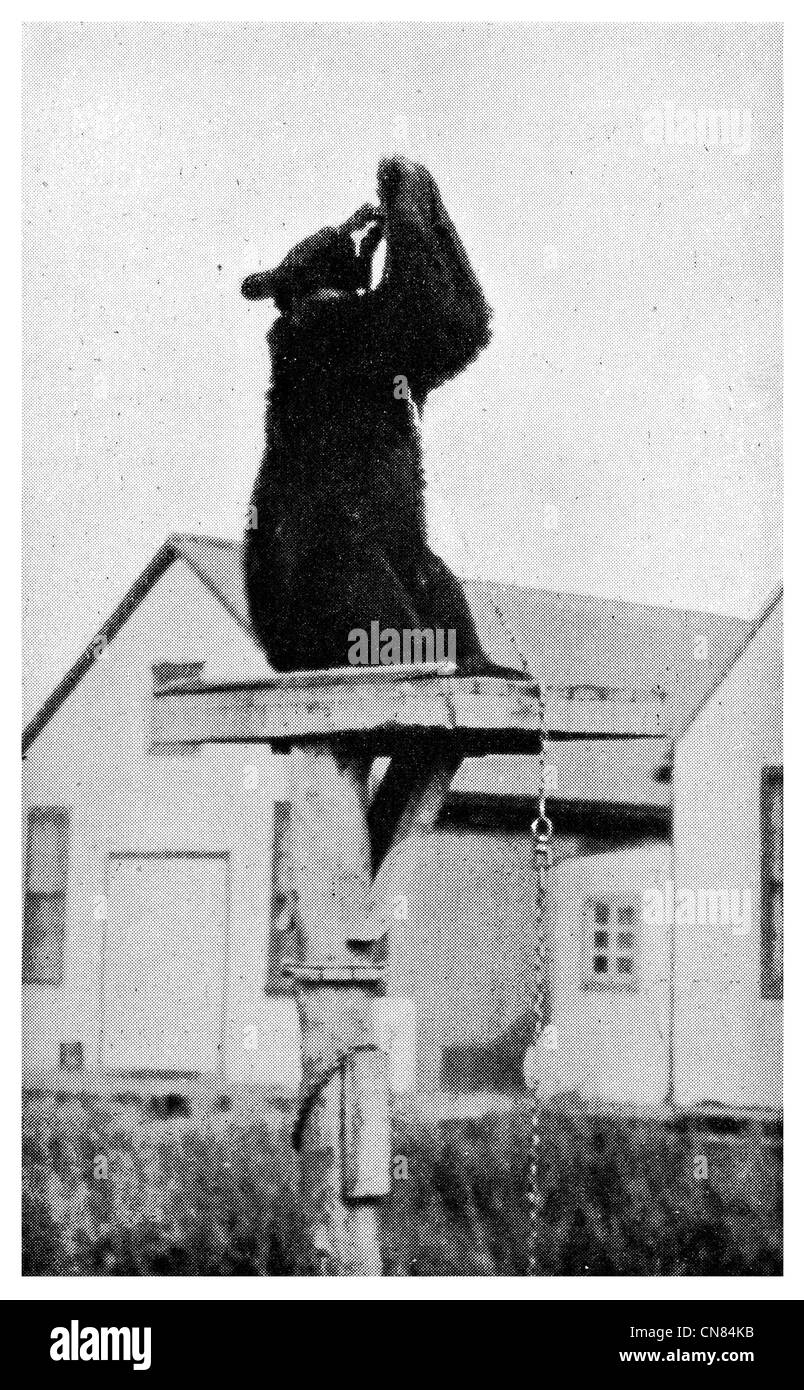 D'abord publié 1917 ours dansant St Michael Banque D'Images
