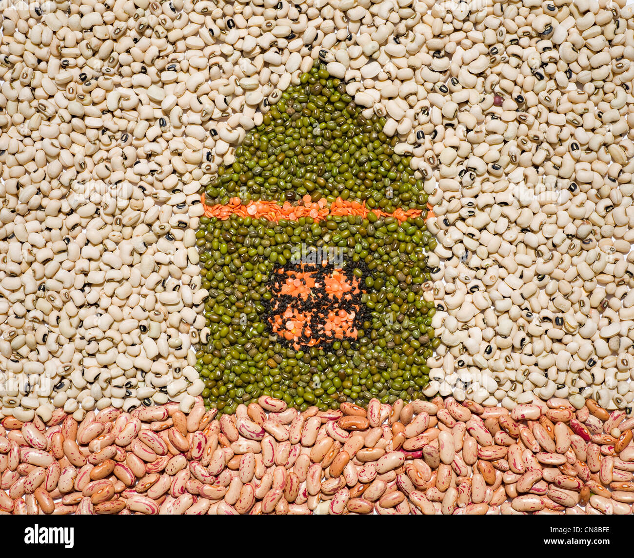 Eco house métaphore du grain de haricot, lentille, mash Photo Stock - Alamy