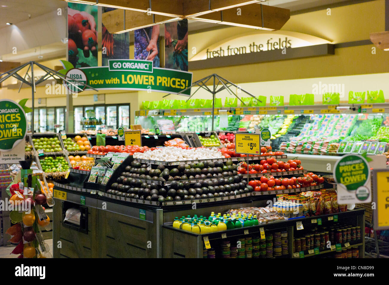 Produits frais et légumes section à une épicerie Safeway, Salida, Colorado, USA Banque D'Images