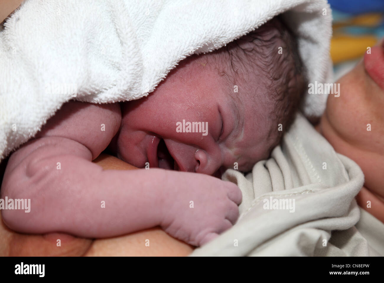 Quelques Minutes Apres La Naissance De Bebe Nouveau Ne Photo Stock Alamy