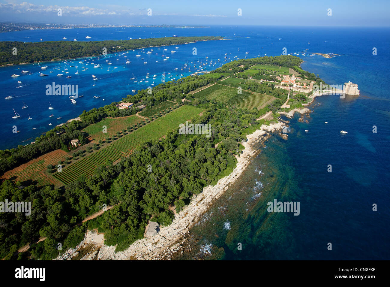 France, Alpes Maritimes, Cannes, les îles de Lérins, l'île Saint Honorat, à l'île de sainte