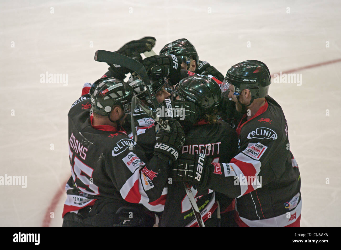 Les joueurs de Cardiff Devils féliciter le marqueur de leur troisième but Banque D'Images