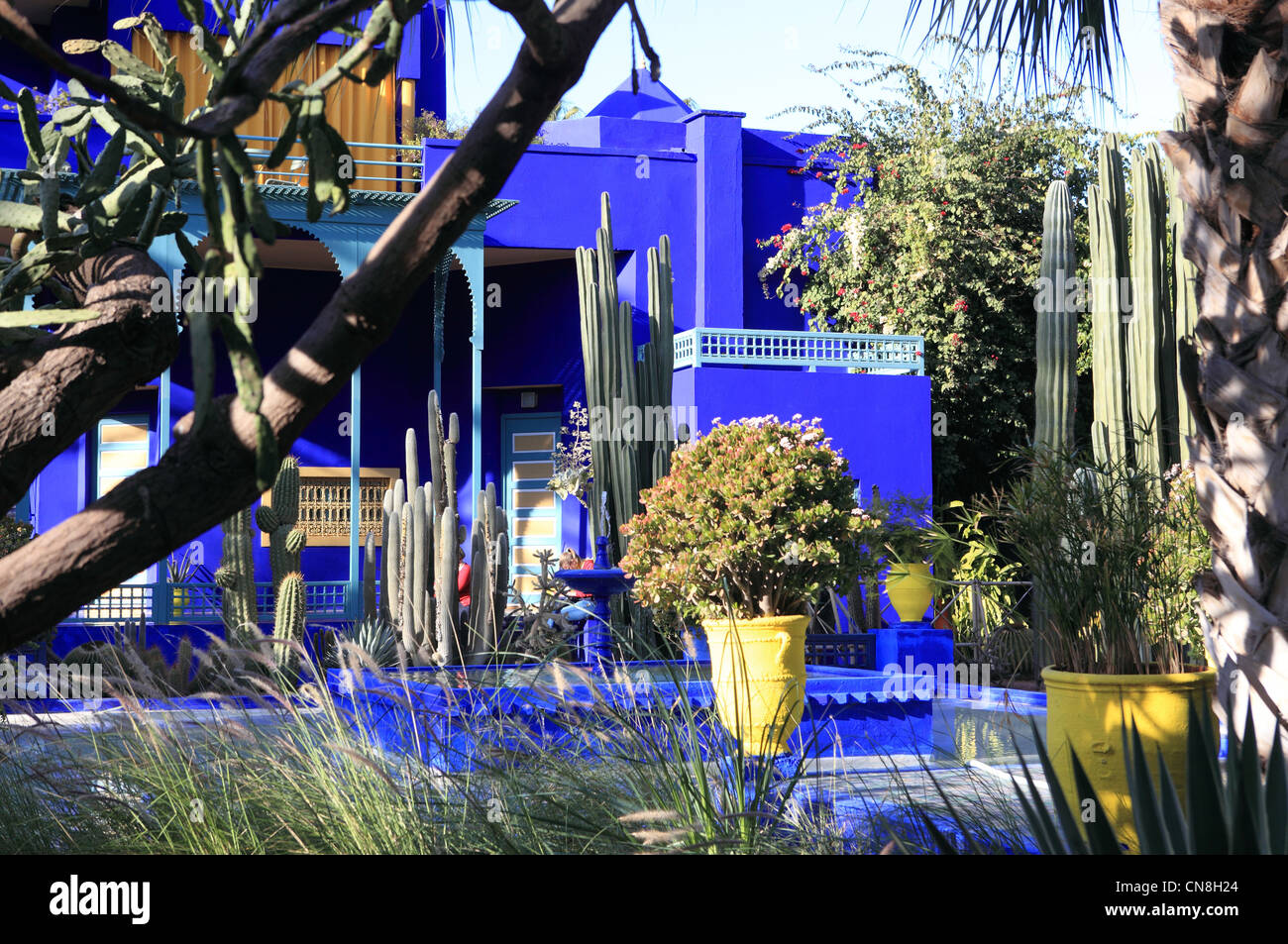 Le jardin Majorelle à Marrakech, conçu par Jacques Majorelle et restauré par Yves Saint Laurent au Maroc, l'Afrique du Nord Banque D'Images