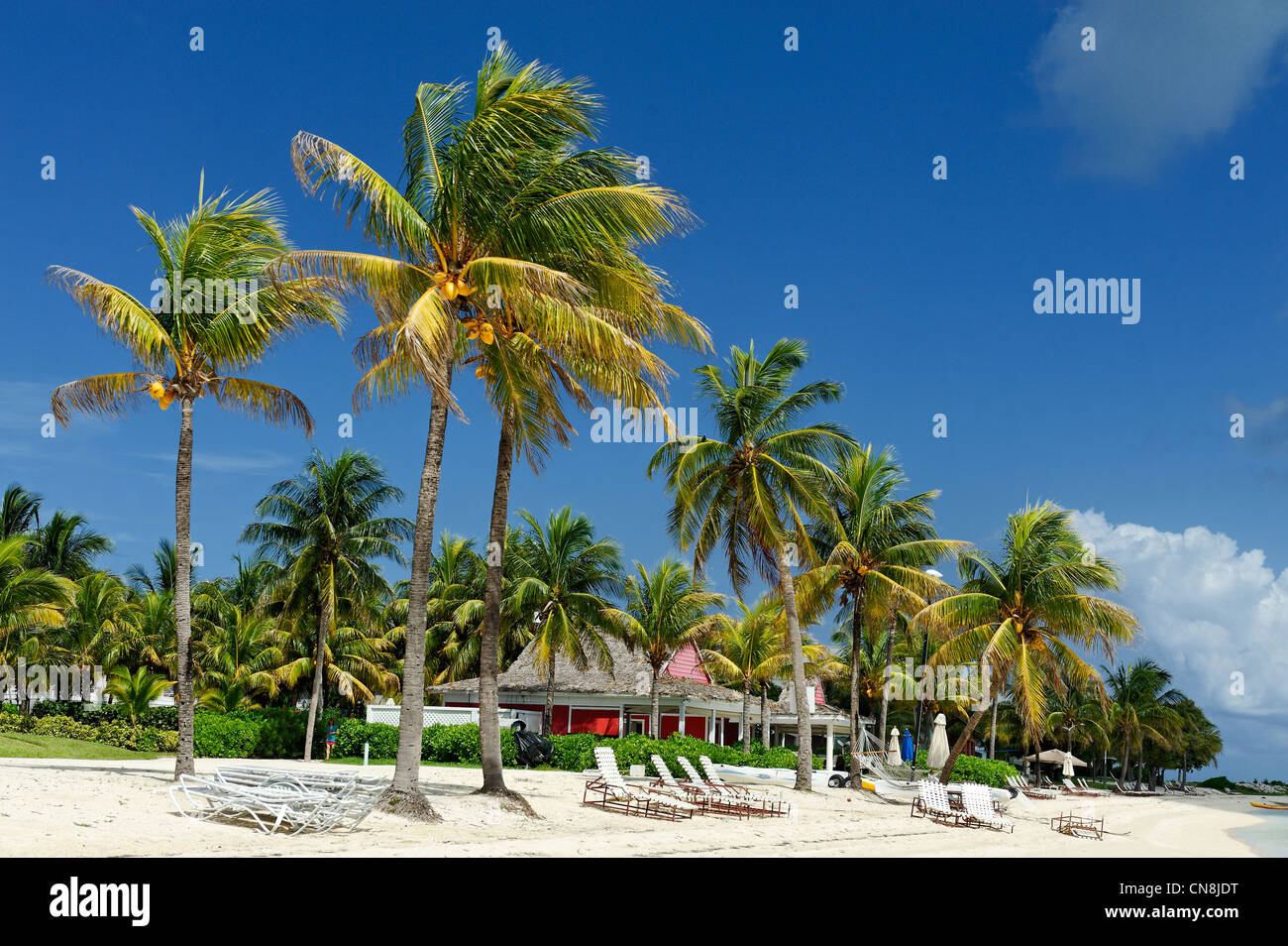 Bahamas, Grand Bahama Island, West End, Old Bahama Bay, plage de sable blanc bordée de cocotiers qui abritent des bungalows Banque D'Images